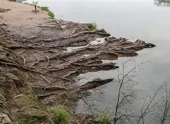 quarterzip什么意思-爱游戏app下载