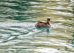 关于;驗鯔儧僻m9|jB戮g踂?3沅糚的信息-爱游戏官网首页